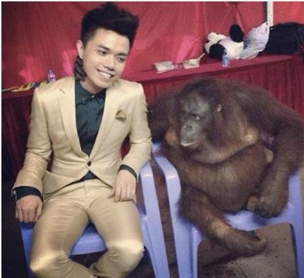 张敬轩图片,华语乐坛已死(张敬轩歌手事件) 张敬轩图片,华语乐坛已死(张敬轩歌手事件)