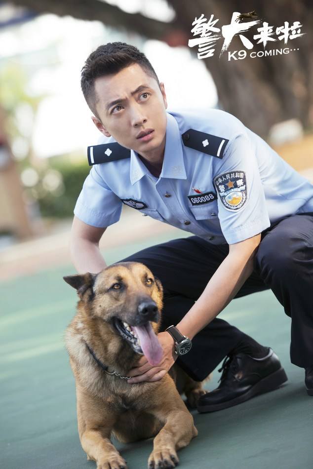 警犬来啦是什么品种的狗？警犬为什么不能交
