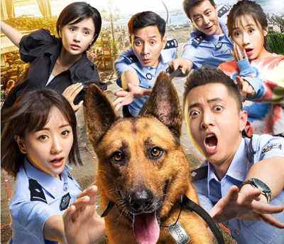 警犬来啦是什么品种的狗？警犬为什么不能交