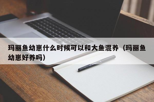 玛丽鱼幼崽什么时候可以和大鱼混养（玛丽鱼幼崽好养吗） 