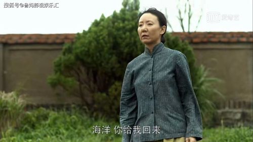 亚宁老婆，央视主持人杨亚宁(中央电视台女主持人杨亚宁)