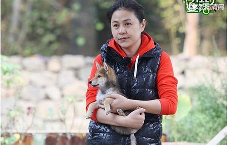 黄磊学生曾晖，海清是黄磊的学生还(黄磊的学生曾辉)