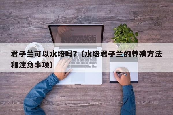 君子兰可以水培吗?（水培君子兰的养殖方法和注意事项） 