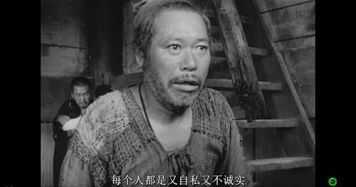 罗生门事件，黑天鹅事件(罗生门新闻事件)