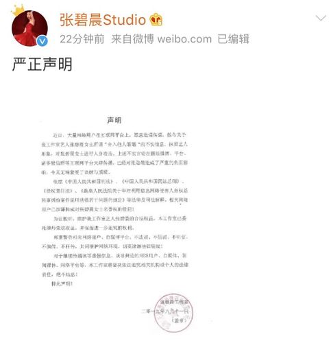 张碧晨工作室，张碧晨 资料