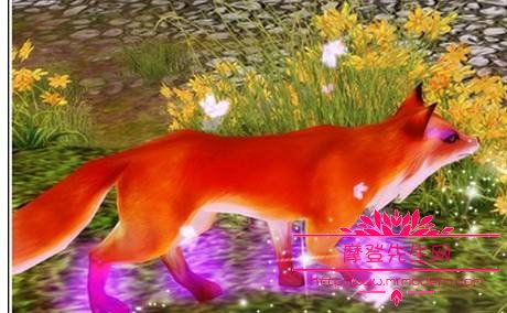 三生三世东华帝君什么时候认出凤九来的?凤(东华帝君什么时候认出狐狸就是白凤九) 三生三世东华帝君什么时候认出凤九来的?凤(东华帝君什么时候认出狐狸就是白凤九)