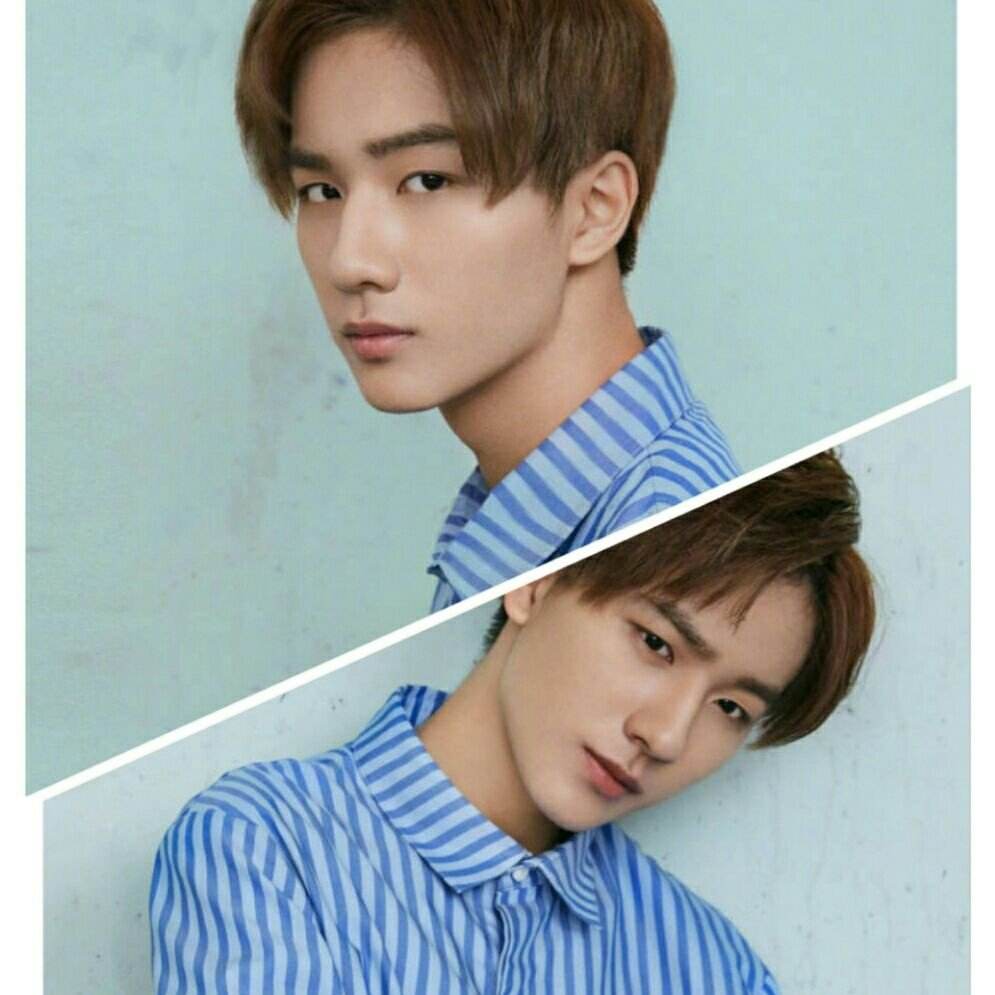 李宏毅为什么叫李永善？李宏毅打官司是怎么(李宏毅是什么样的人)