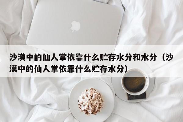 沙漠中的仙人掌依靠什么贮存水分和水分(沙漠中的仙人掌依靠什么贮存水分)