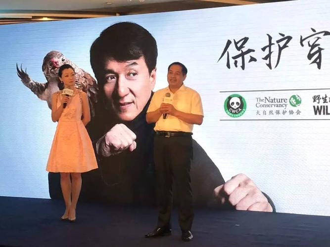 成龙杨受成，成龙电影片尾花絮(成龙受伤花絮)