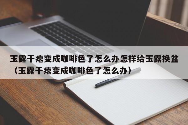 玉露干瘪变成咖啡色了怎么办怎样给玉露换盆（玉露干瘪变成咖啡色了怎么办） 