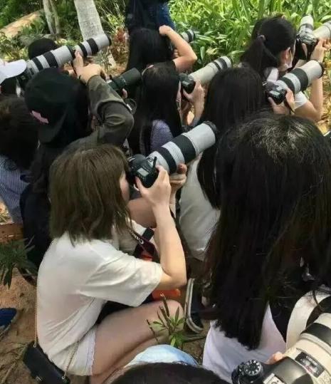 站姐的大炮是什么(站姐的炮用什么好)