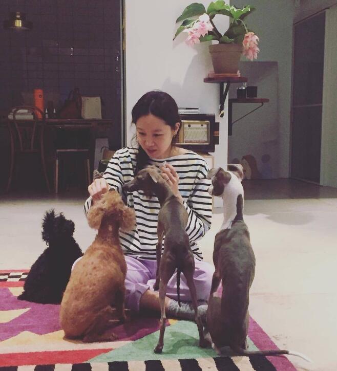 孔孝真的狗是什么品种 孔孝真的狗是什么品种