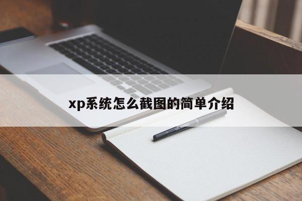 xp系统怎么截图的简单介绍 