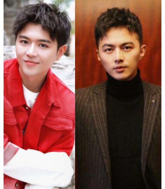 徐嘉苇叶祖新撞脸对比图