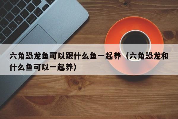 六角恐龙鱼可以跟什么鱼一起养（六角恐龙和什么鱼可以一起养） 