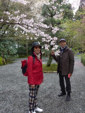 汪明荃和罗家英现状如何？汪明荃为什么那么(汪明荃罗家英为什么这么晚结婚)