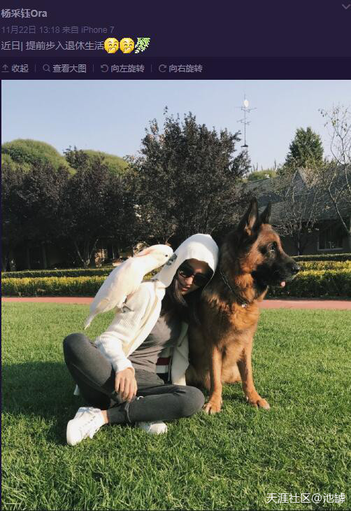 杨采钰和刘亦菲干爹啥关系？为什么说陈金飞(杨采钰是刘亦菲什么人)