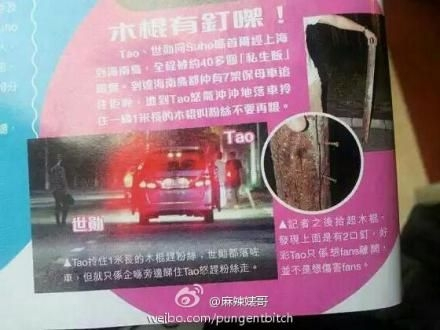 黄子韬十大黑点全揭秘是真的?黄子韬和鹿晗(为什么这么多人黑黄子韬)