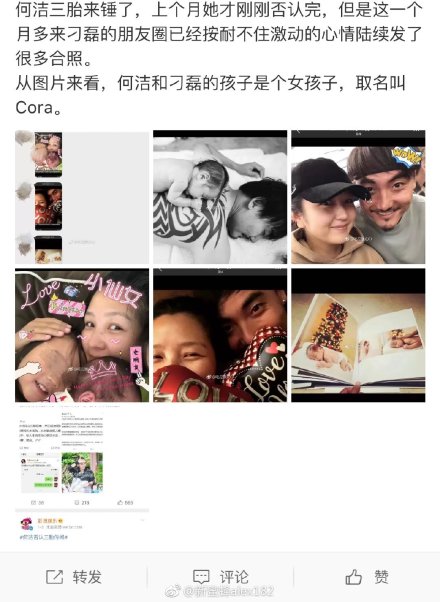 刁磊比何洁大几岁(何洁老公刁磊是干什么的)