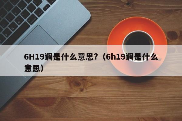 6H19调是什么意思?（6h19调是什么意思） 