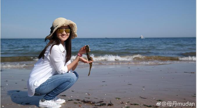 母丹现在做什么职业