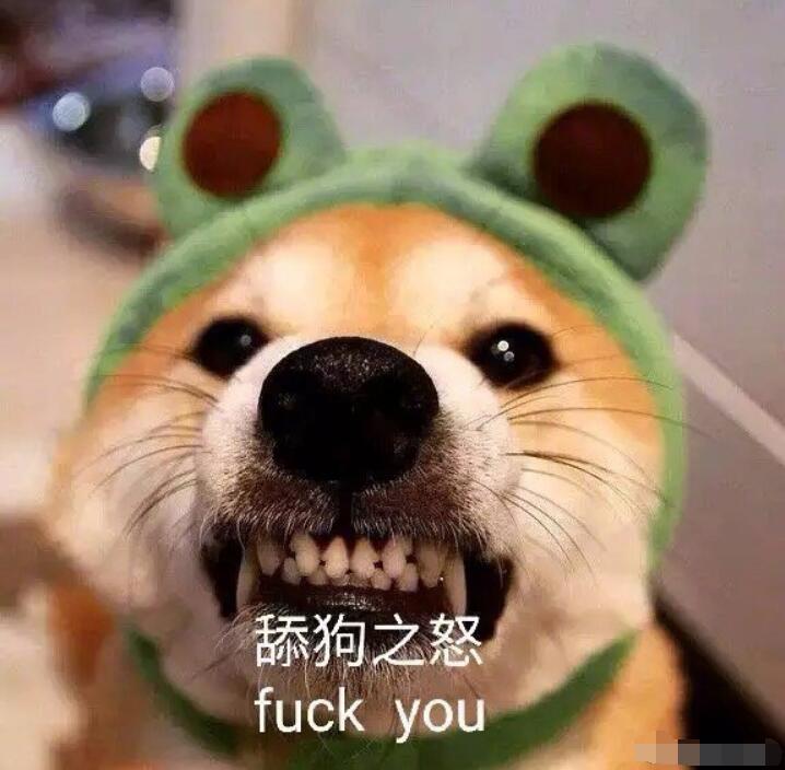 舔狗在爱情里面是什么意思(爱情里面的舔狗)