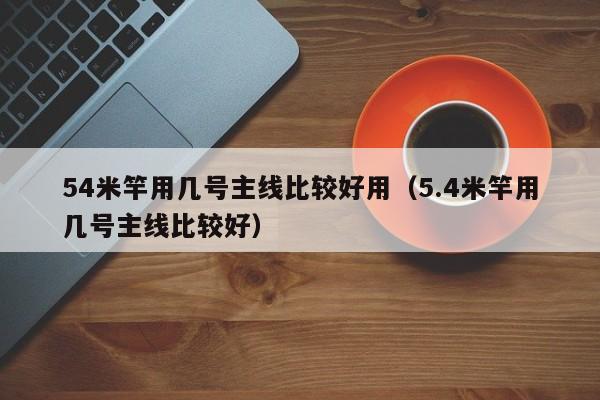 54米竿用几号主线比较好用（5.4米竿用几号主线比较好） 