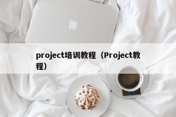 project培训教程（Project教程） 