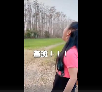 抖音找塞班火了!找塞班的泰国小姐姐是人妖(泰国美女喊塞班) 抖音找塞班火了!找塞班的泰国小姐姐是人妖(泰国美女喊塞班)