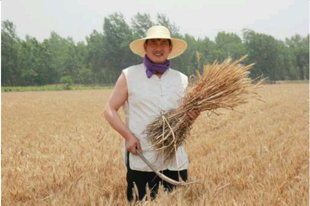 朱之文现在身价多少钱(朱之文现在到底有多少钱)