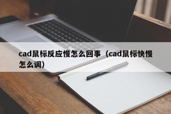 cad鼠标反应慢怎么回事（cad鼠标快慢怎么调） 