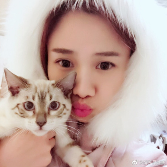 密子君是兔子是什么意思?密子君现在有多少(密子君为什么叫密子君) 密子君是兔子是什么意思?密子君现在有多少(密子君为什么叫密子君)