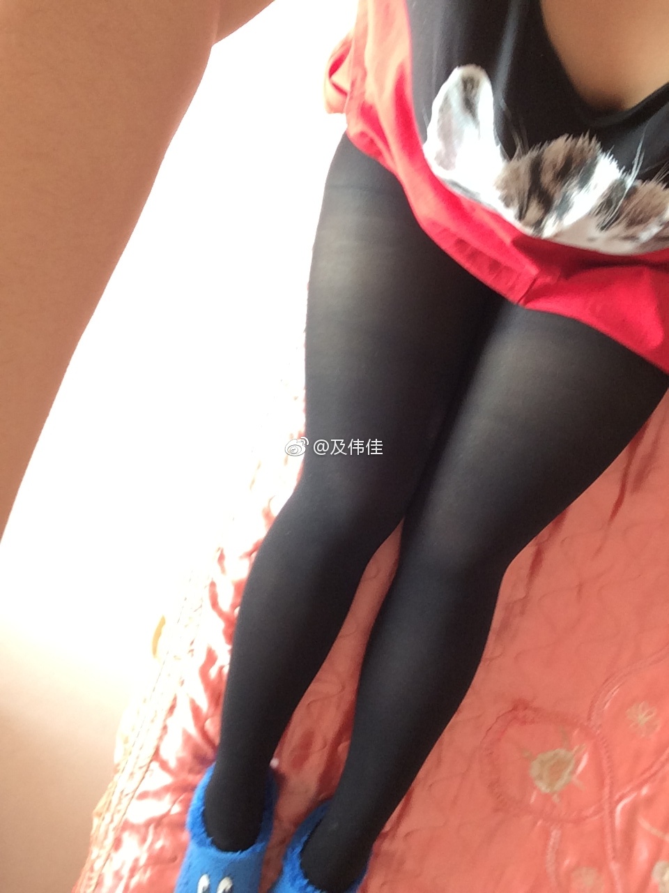 最美女胖子及伟佳切胃是真的吗 最美女胖子及伟佳切胃是真的吗