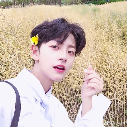 刘梦为什么那么像男的(刘梦男的还是女的)