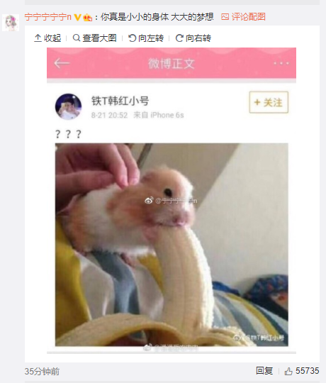 郭敬明金丝雀原文(金丝雀和大老板是郭敬明自己写的)