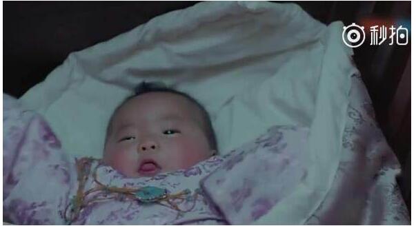 凤求凰朱雀是刘楚玉的孪生妹妹