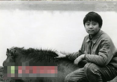 邓超晒父亲、母亲照片(邓超家庭照片)