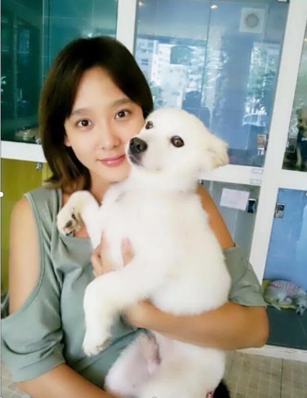 天上智喜发生了什么为何不红?天上智喜成员 天上智喜发生了什么为何不红?天上智喜成员