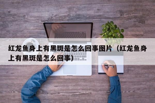 红龙鱼身上有黑斑是怎么回事图片（红龙鱼身上有黑斑是怎么回事） 