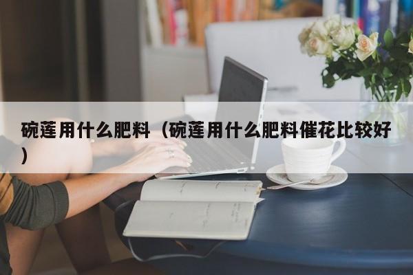 碗莲用什么肥料(碗莲用什么肥料催花比较好)