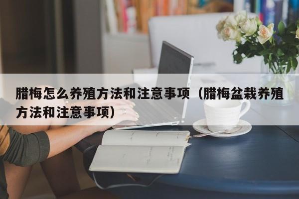 腊梅怎么养殖方法和注意事项（腊梅盆栽养殖方法和注意事项） 