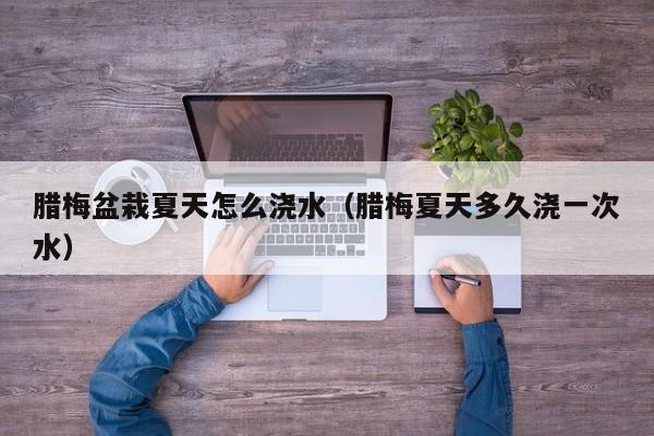 腊梅盆栽夏天怎么浇水(腊梅夏天多久浇一次水)