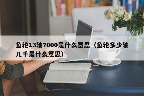 鱼轮13轴7000是什么意思(鱼轮多少轴几千是什么意思)