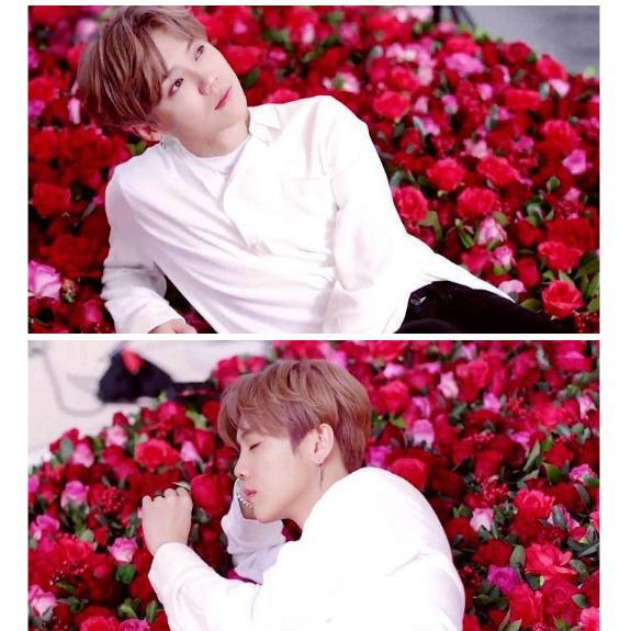 天涯扒皮鹿晗被京圈排斥真相(鹿晗圈内八卦)