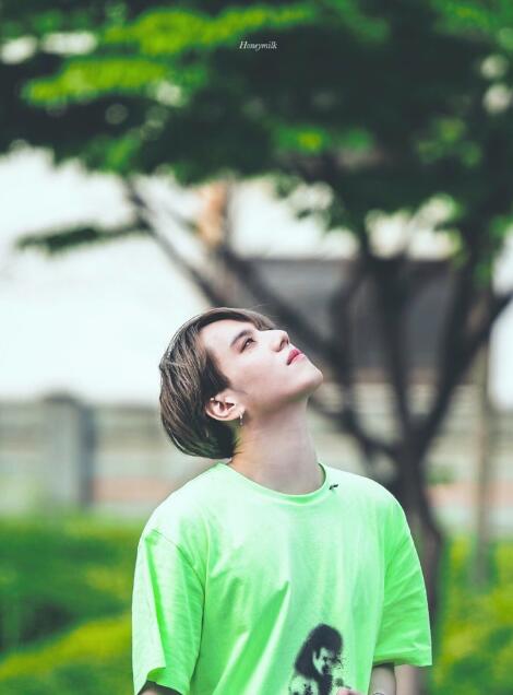 金有谦为什么叫蚂蚁、油缸米