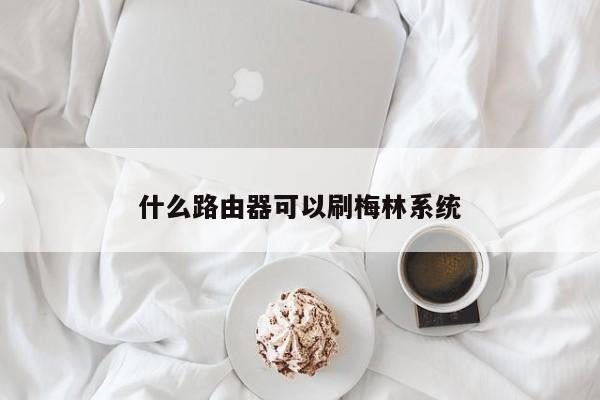 什么路由器可以刷梅林系统 
