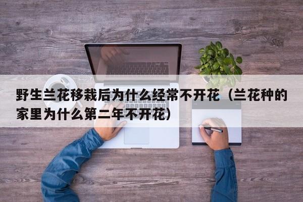 野生兰花移栽后为什么经常不开花（兰花种的家里为什么第二年不开花） 