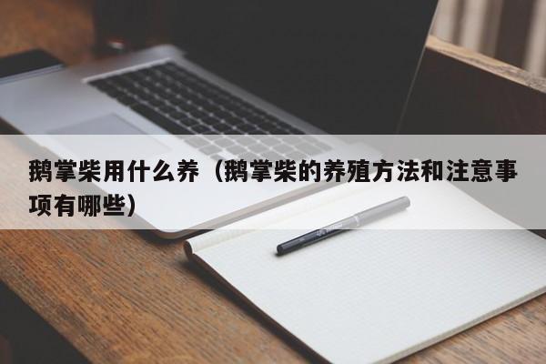 鹅掌柴用什么养（鹅掌柴的养殖方法和注意事项有哪些） 