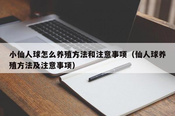 小仙人球怎么养殖方法和注意事项（仙人球养殖方法及注意事项） 