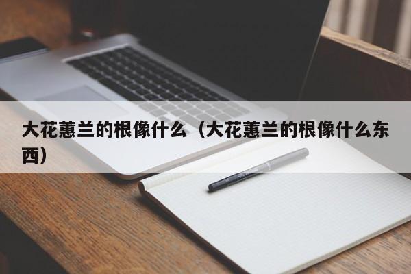 大花蕙兰的根像什么(大花蕙兰的根像什么东西)